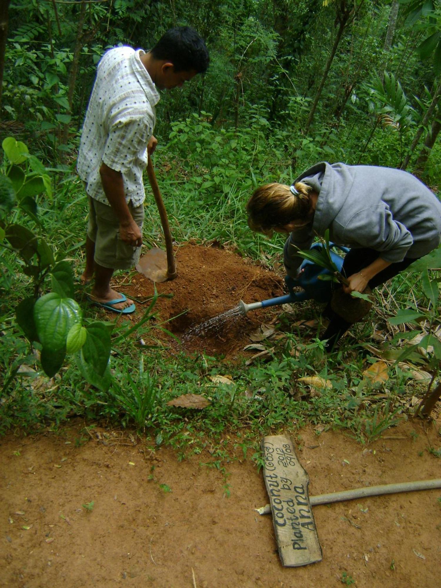 Polwaththa Eco Gasthof Digana
