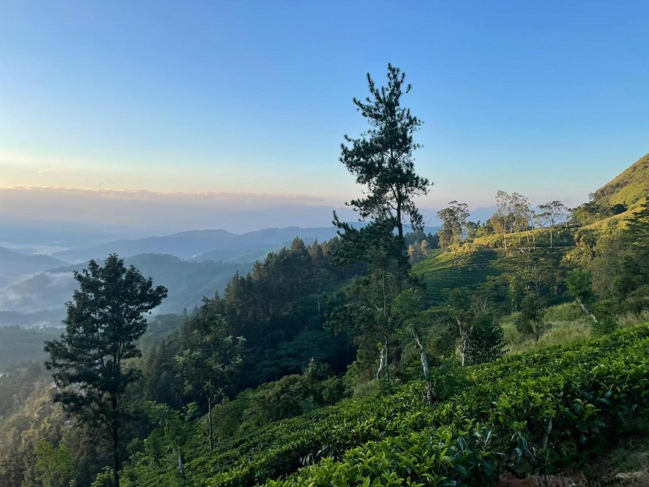 Gasthof Polwaththa Eco Digana