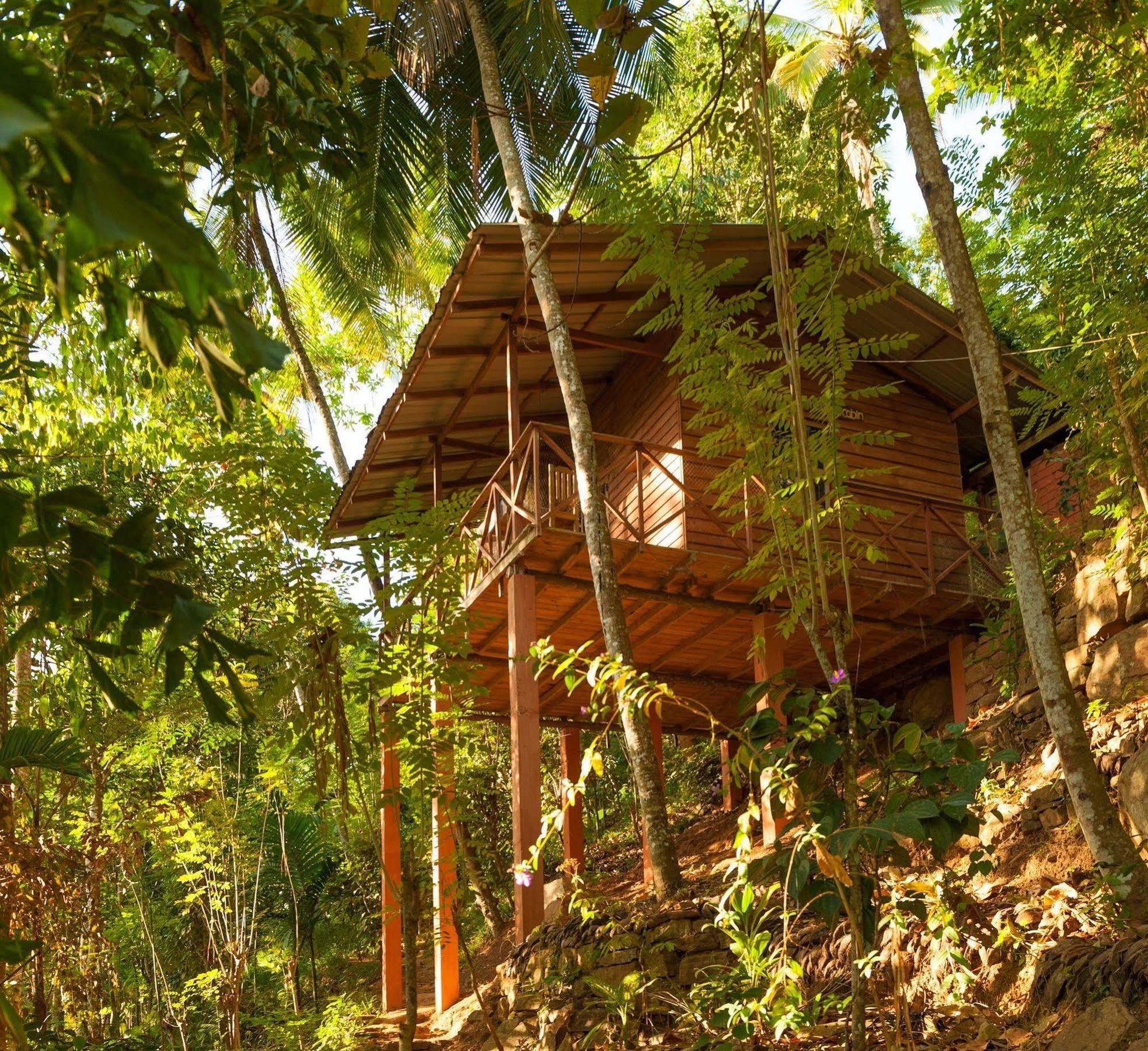 Polwaththa Eco Guest house
